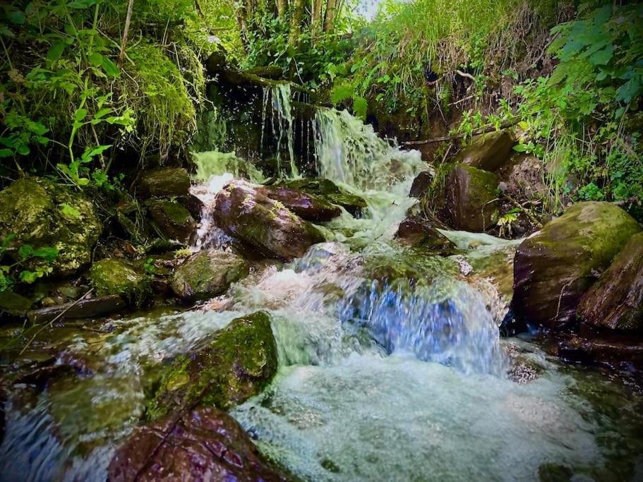 Bergerie De Lasariberes * Gazost (Hautes-Pyrenees)